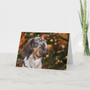 Search for hot dog christmas cards Xmas