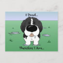 Search for newfies postcards Newfoundland