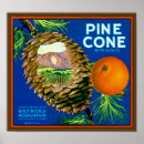 Search for vintage fruit crate labels posters Oranges