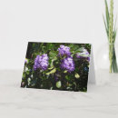 Search for sunlight cards Flowers