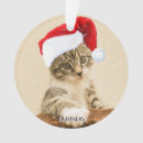 Search for tabby cat christmas tree decorations Modern