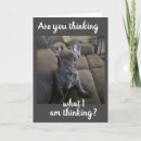 Search for funny dog anniversary cards Husband