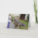 Search for relax cards Take a break