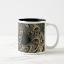 Search for bitis Morocco