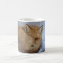 Search for foxie mugs Wildlife