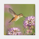Search for bird wedding magnets Purple