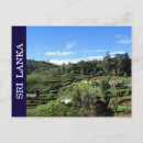 Search for sri lanka postcards Landscape
