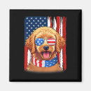 Search for else magnets Usa