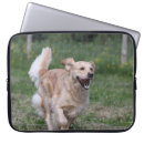 Search for flat coated retriever electronics Running