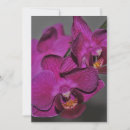 Search for close up invitations Flower