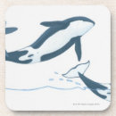 Search for creatures barware Animal