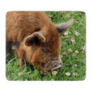 Search for pig chopping boards Cute