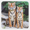 Search for male and female stickers Animals