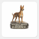 Search for etna stickers Cirneco dell etna