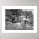 Search for winter path posters Trees