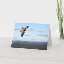 Search for falcone cards Bird