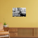 Search for lion photography posters White