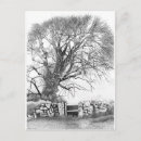 Search for original drawing postcards Ink