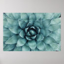 Search for leaf plant posters Nature