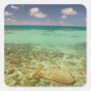 Search for turks and caicos stickers Tropical