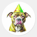 Search for dog owners stickers Birthday
