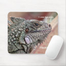 Search for lizards the electronics For kids