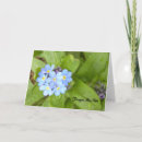 Search for forget me not cards Flower