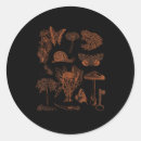 Search for botanical art stickers Cottagecore