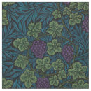 Search for grape vine Grapes