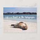 Search for galapagos postcards Islands