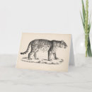 Search for animal sketch cards Wildlife