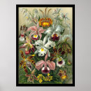 Search for art forms of nature posters Flowers