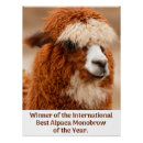 Search for alpaca posters Animal