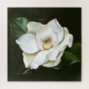 Search for magnolia puzzles Blossom