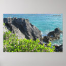 Search for horseshoer posters Ocean