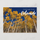 Search for tree greeting postcards Autumn
