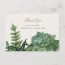 Search for terrarium cards Succulent