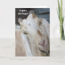 Search for goat cards Farm animals