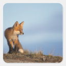 Search for tundra stickers Ak