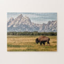 Search for bison puzzles Landscape
