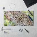 Search for closeup electronics Animal