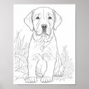 Search for labrador retriever art Illustration