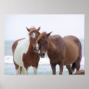 Search for standing together posters Horses