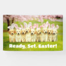 Search for easter signs Funny