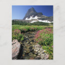 Search for flow postcards Scenic