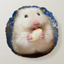 Search for hamster cushions Cute
