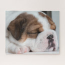 Search for english bulldog puzzles Bully