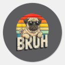 Search for dog meme stickers Tiktok