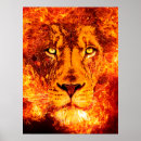 Search for flame red posters Animal