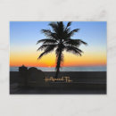 Search for hollywood postcards Palm trees